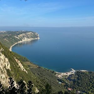 Fonte D'Olio Conero Relais